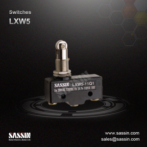 LXW5 series micro switches